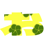 005