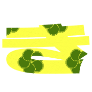 007