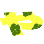 036