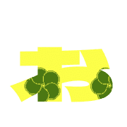 051