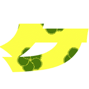 089