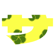 091