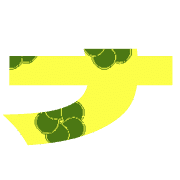 101