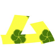113