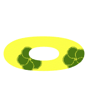 202