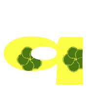 204