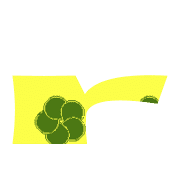 205