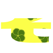 207
