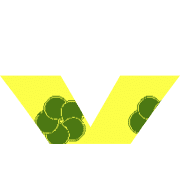209