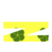 213