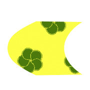 234
