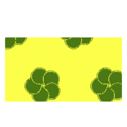 242