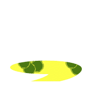 245