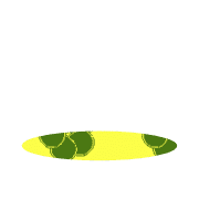 246
