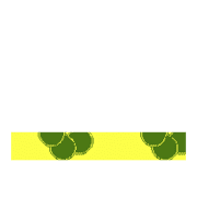 250