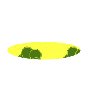 253