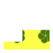 255