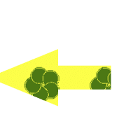 263