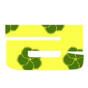 305