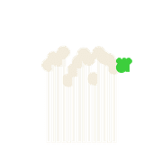 007