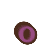 202