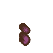 243