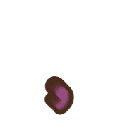 245