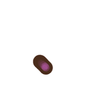246