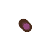 253