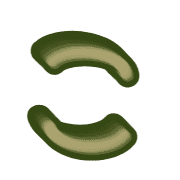010