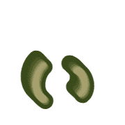 048