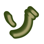 145