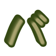 151