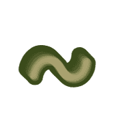 224