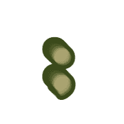 243