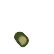 245