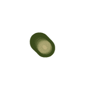 253