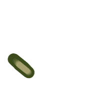 256