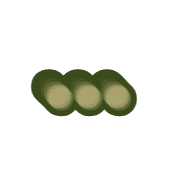 257