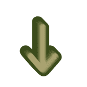 261
