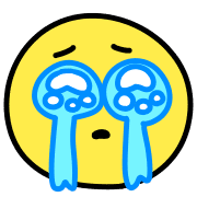 010