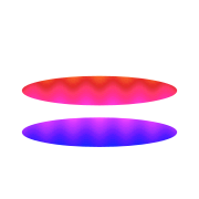 244