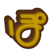 080