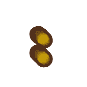 244