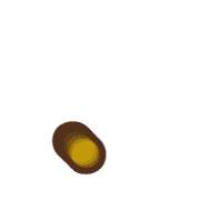246