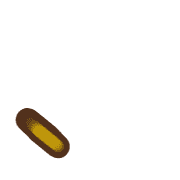 256