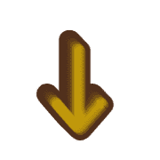 261