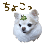 009