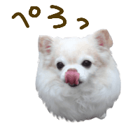 011