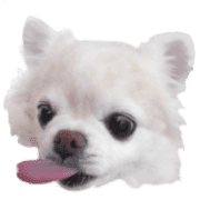 026